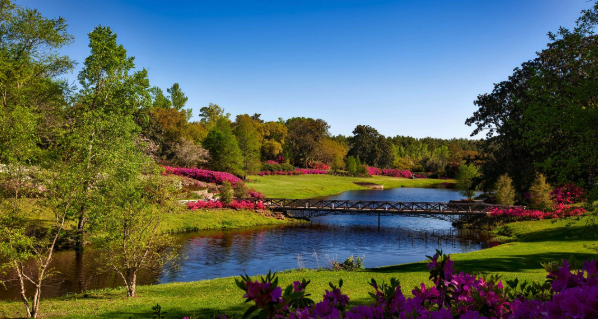 Serene landscape with a lake, bridge, and flowering trees
